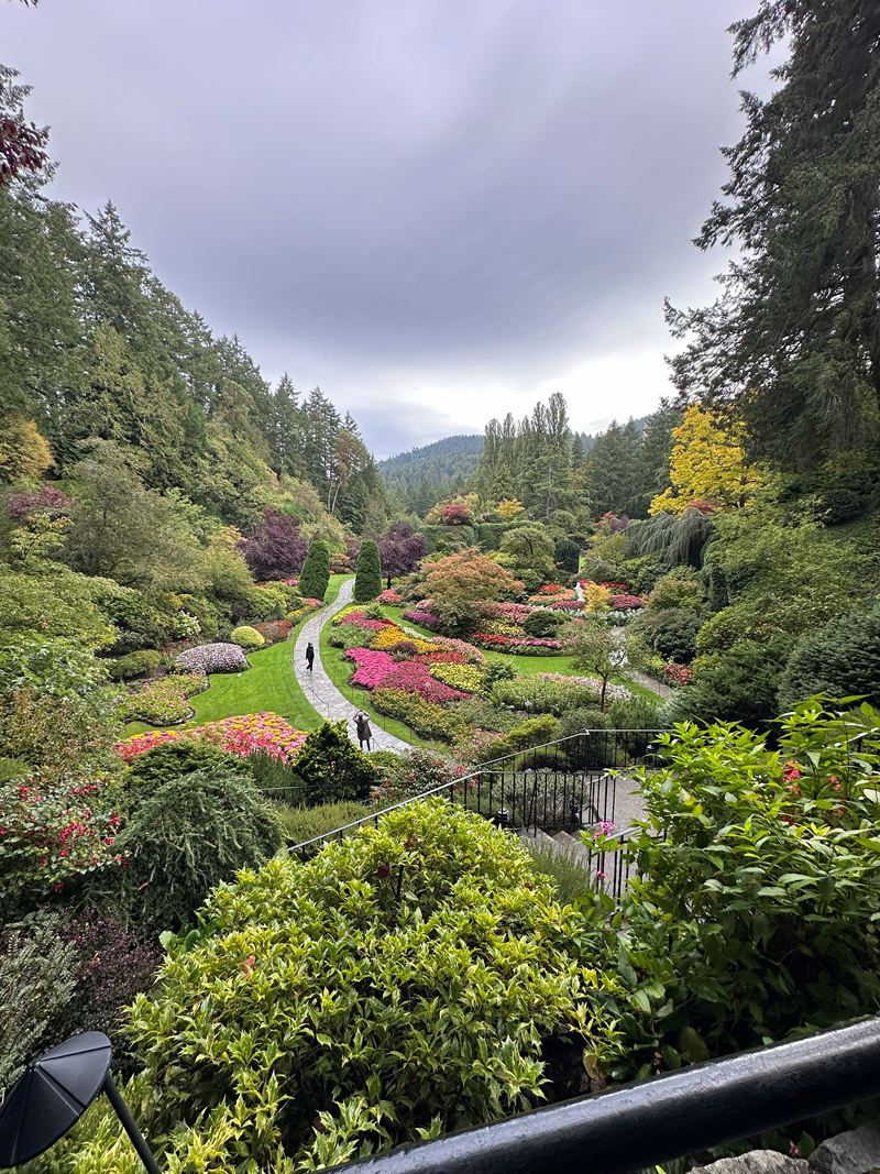 A flower garden in a sunken valley, with winding paths and evergreens