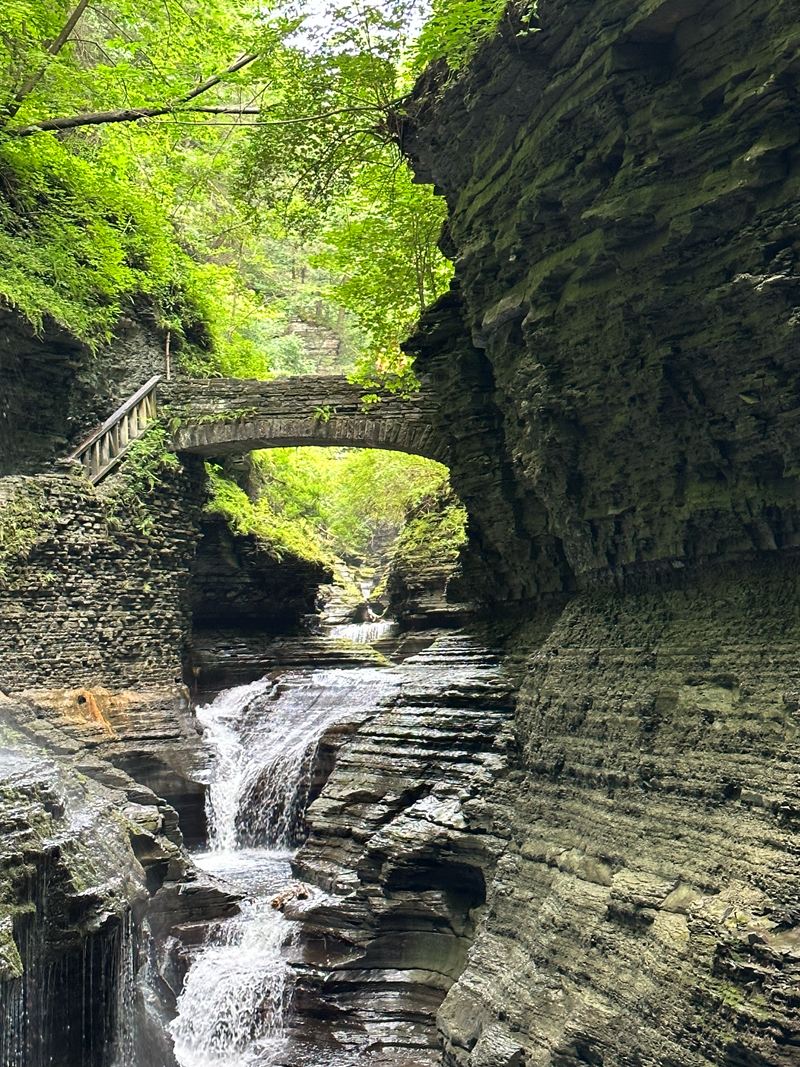 A stone bridge and waterfall inside a narrow, mossy gorge