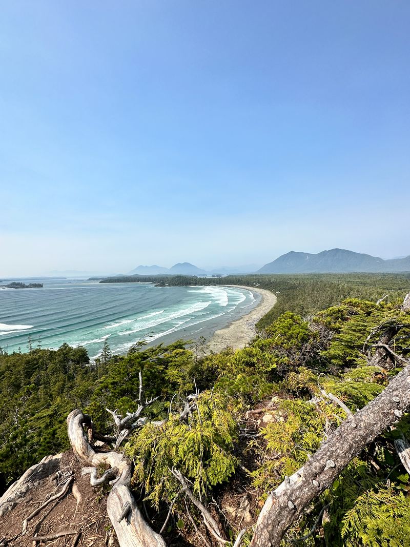 A crescent beach and forested coastline seen from above