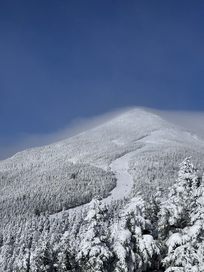 A snow-covered mountain above a frosted forest