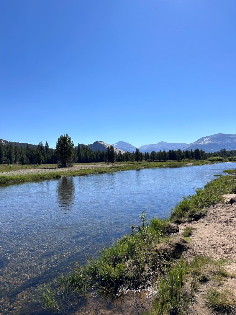 A calm river winding through a mountain meadow