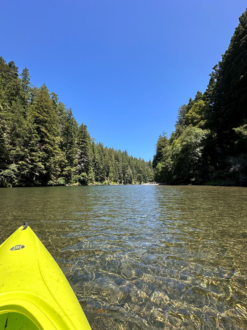 The bow of a yellow kayak on a clear, tree-lined river