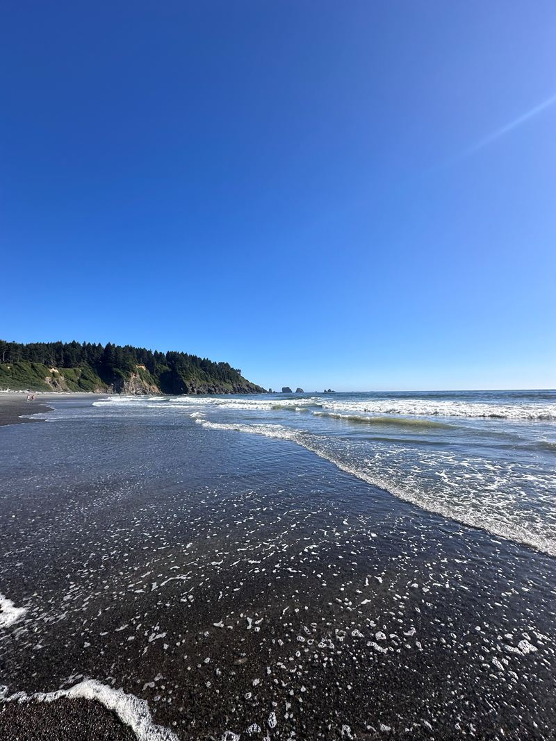 Waves rolling onto a dark sand beach