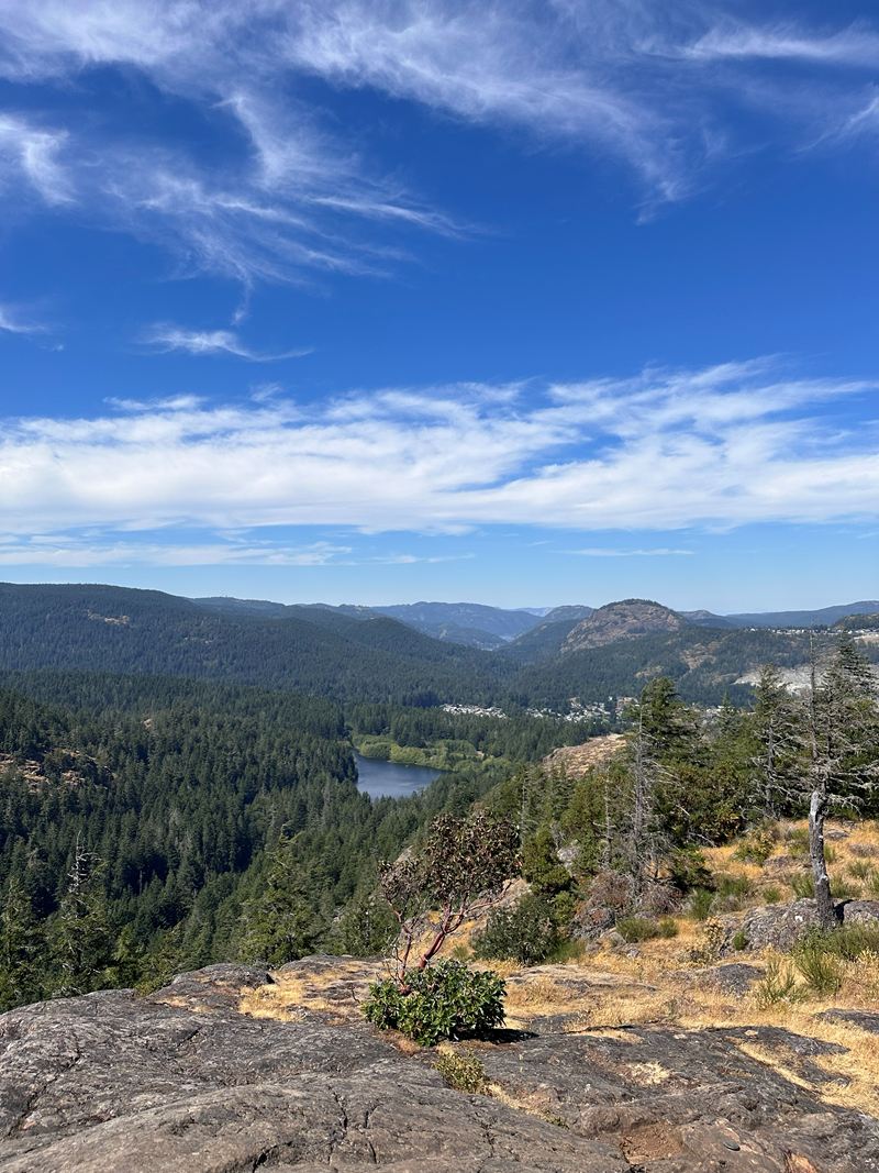 A forested valley and small lake seen from a rocky lookout