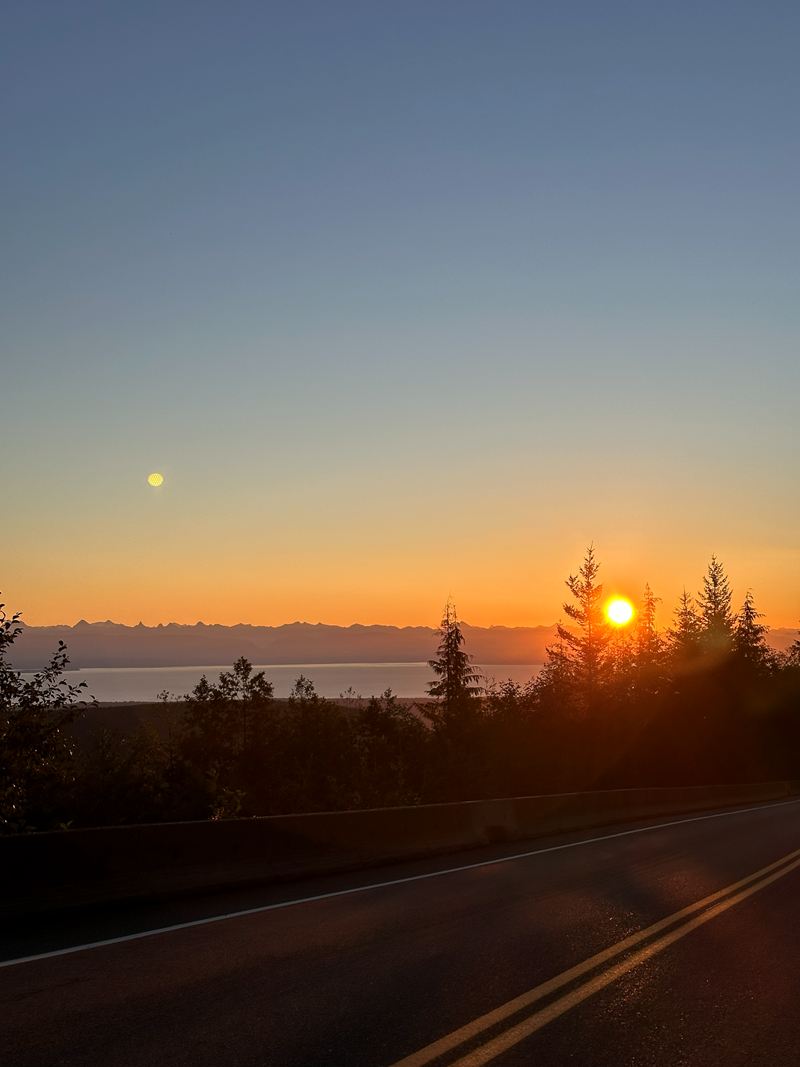 The sun setting over the trees beside an empty road
